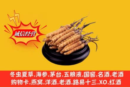 兴安盟扎赉特旗名酒回收冬虫夏草.jpg